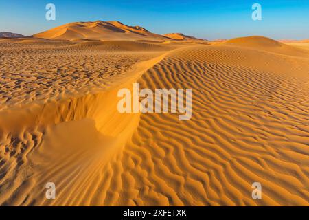 Rub al-Shali, die größte Sandwüste der Erde, Oman, Dhofar Governorate, Rub al-Chali, Salalah Stockfoto