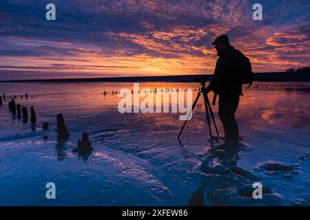 Naturfotograf im Wattenmeer bei Sonnenaufgang, Niederlande, Frisia, Wierum Stockfoto