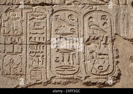 Außenwände am Tempel von Khnum in Esna, Ägypten Stockfoto