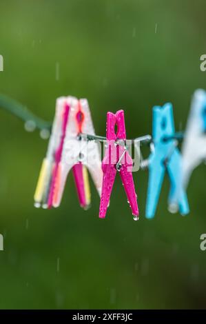 Regentropfen hängen während eines Regenschauers an Wäscheklammern einer Wäscheleine in einem Garten. Rottweil Baden-Württemberg Deutschland *** Regentropfen hängen an Kleiderschränken an einer Wäscheleine in einem Garten Rottweil Baden-Württemberg Deutschland bei einem Regenschauer Stockfoto