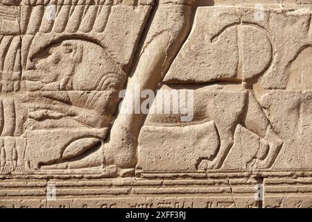 Außenwände am Tempel von Khnum in Esna, Ägypten Stockfoto