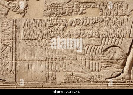 Außenwände am Tempel von Khnum in Esna, Ägypten Stockfoto