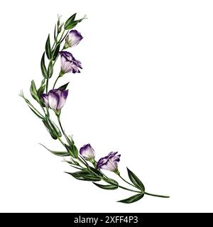 Großer Zweig mit Blüten und Knospen. Eustoma oder Lisianthus. Violett, weiß und grün. Digitale Illustration, Imitation von Aquarellen Stockfoto