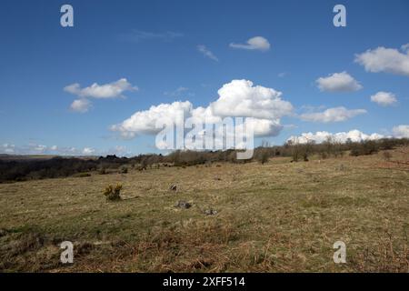 Hutton Roof Crags oberhalb von Burton in Kendal Westmorland und Furness, ehemals Cumbria England Stockfoto