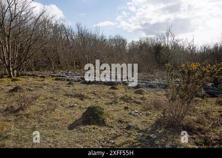 Hutton Roof Crags oberhalb von Burton in Kendal Westmorland und Furness, ehemals Cumbria England Stockfoto