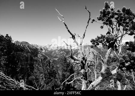 Beartooth Highway (Schwarzweiß) Stockfoto