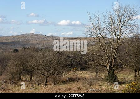 Farleton fiel von den Hängen des Hutton Roof Crag bei Burton in Kendal Westmorland und Furness oder Cumbria England Stockfoto