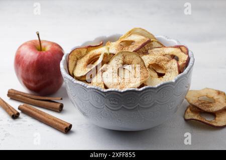 Hausgemachte getrocknete Äpfel mit Zimt, Apfelchips in einer Schüssel mit Zimtstangen auf hellgrauem Hintergrund. Köstlicher gesunder Snack Stockfoto