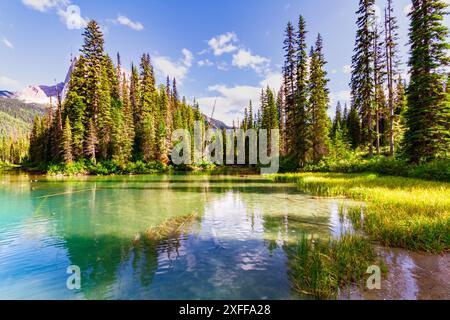 Die Landschaft der Rocky Mountains. Der wunderschöne Emerald Lake. Yoho National Park, British Columbia, Kanada Stockfoto