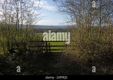 Blick von einem Fußweg, der zum Plateau der Hutton Roof Crags in der Nähe von Burton in Kendal Westmorland und Furness England führt Stockfoto