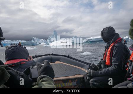 Ozeanweite Expeditionen Zodiacs in 'Iceberg Graveyar', Pleneau Island, Blick auf Seal Leopard (Hydruga leptonyx). Stockfoto