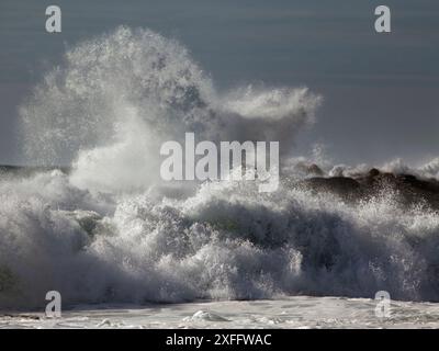 Big stürmischen Wellen. Fokus auf den Vordergrund Welle. Stockfoto