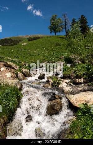 Nahaufnahme eines kleinen Baches mit felsiger Umgebung und grünen Pflanzen. Stockfoto