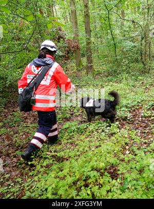 03. Juli 2024, Nordrhein-Westfalen, Hennef (Sieg): Ein Rotkreuz-Hundeführer und ihr Hund suchen am Stadtrand von Satzvey bei Mechernich nach einem vermissten Mädchen. Das Schulmädchen wird seit Montag vermisst. Foto: Henning Kaiser/dpa Stockfoto