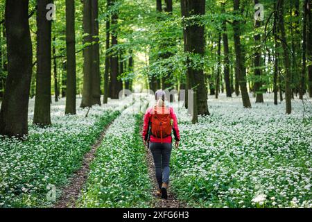 Wanderer erkunden blühende Waldwege im Frühling. Frau genießt ihr Abenteuer in der Natur Stockfoto