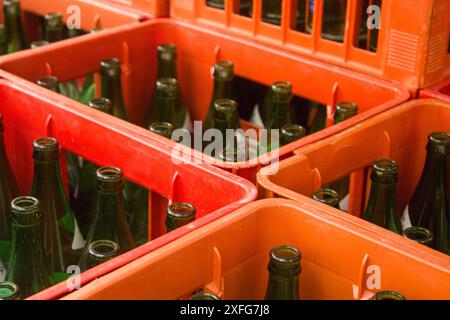 Grünglasflaschen für Sprudelwasser oder Bären im Träger. Leere Flaschen in der Behältervorlage. Stockfoto