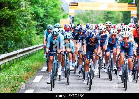 Saint Vulbas, Frankreich. Juli 2024. Das Feld wurde während der 5. Etappe des Tour de France-Radrennens 2024 von Saint-Jean-de-Maurienne nach Saint-Vulbas (177, 4 km) am Mittwoch, den 03. Juli 2024, in Aktion gezeigt. Die 111. Ausgabe der Tour de France beginnt am Samstag, den 29. Juni und endet am 21. Juli in Nizza. BELGA FOTOPOOL LUCA BETTINI Credit: Belga Nachrichtenagentur/Alamy Live News Stockfoto