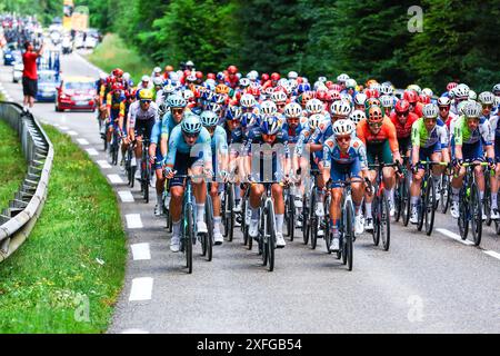 Saint Vulbas, Frankreich. Juli 2024. Das Feld wurde während der 5. Etappe des Tour de France-Radrennens 2024 von Saint-Jean-de-Maurienne nach Saint-Vulbas (177, 4 km) am Mittwoch, den 03. Juli 2024, in Aktion gezeigt. Die 111. Ausgabe der Tour de France beginnt am Samstag, den 29. Juni und endet am 21. Juli in Nizza. BELGA FOTOPOOL LUCA BETTINI Credit: Belga Nachrichtenagentur/Alamy Live News Stockfoto