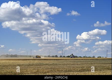 Nicht exklusiv: REGION ZAPORIZHZHIA, UKRAINE - 29. JUNI 2024 - die Erntezeit von Winterweizen ist im Dnipro Waves Agricultural Producti im Gange Stockfoto