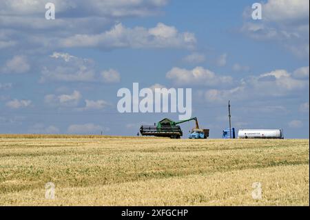 Nicht exklusiv: REGION ZAPORIZHZHIA, UKRAINE - 29. JUNI 2024 - die Erntezeit von Winterweizen ist im Dnipro Waves Agricultural Producti im Gange Stockfoto