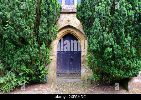 Ein paar alte Eiben, die die Nordtür der St. Marys Kirche, Netherbury, Dorset, Großbritannien, bewachen - John Gollop Stockfoto