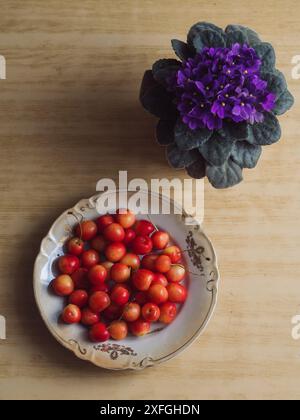 Süße Kirschen in Einem Beige Vintage Teller und ein violettes Violett in Bloom auf einem Holztisch. Vertikale Flache Lage Stockfoto