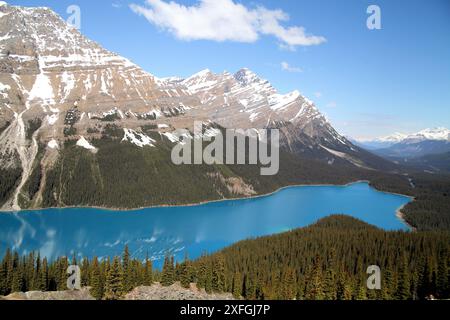 Peyto Lake, British Columbia von der Aussichtsplattform in der Nähe des Highway 93. Stockfoto