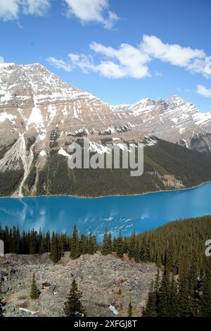 Peyto Lake, British Columbia von der Aussichtsplattform in der Nähe des Highway 93. Stockfoto