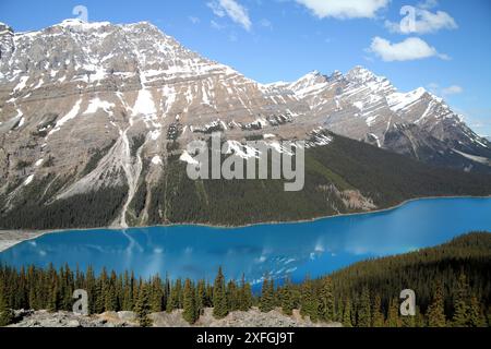 Peyto Lake, British Columbia von der Aussichtsplattform in der Nähe des Highway 93. Stockfoto