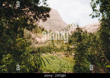 Taghia zawyat Ahansal - Tadla Azilal Marokko. Stockfoto