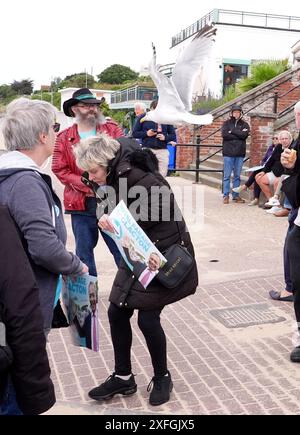 Der britische Reformbefürworter duckt sich, als eine Möwe an einer Gruppe von Menschen vorbeifliegt, die sich in der Nähe des Clacton Pier in Essex versammelt haben, während sie darauf warten, dass der britische Reformführer Nigel Farage eine Rede hält. Bilddatum: Mittwoch, 3. Juli 2024. Stockfoto