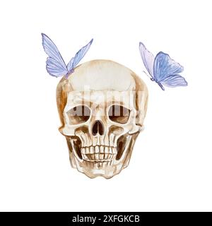 Menschlicher Schädel, blaue Schmetterlinge, Aquarelle. Handgezeichnete Vektorgrafik. Für Tag der Toten und Halloween Grußkarten, Einladungen, große Feiertage Stock Vektor