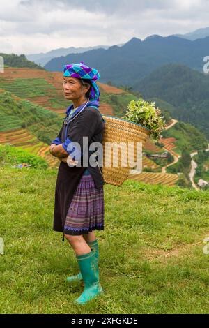 Hmong Woman bei Reisterrassen in Mu Cang Chai, Nordwest-Vietnam, Asien im Juni Stockfoto