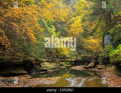 Rainbow Falls im Watkins Glen State Park, New York State, USA Stockfoto