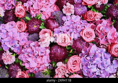 Nahaufnahme eines lebhaften Blumenarrangements mit rosa Rosen, lila Hortensien und burgunderroten Blumen in einer farbenfrohen Ausstellung. Stockfoto