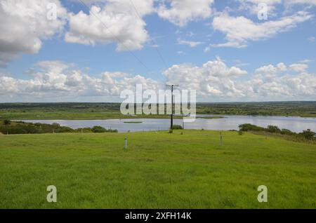 Üppige Heuplantage unter ländlichem blauem Himmel, Grasstruktur und wunderschöner See im Hintergrund. Pedra do Cavalo Dam Lagoon - Bahia - Brasilien Stockfoto