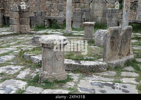 Macellum bei den römischen Ruinen von Djemila in Algerien Stockfoto