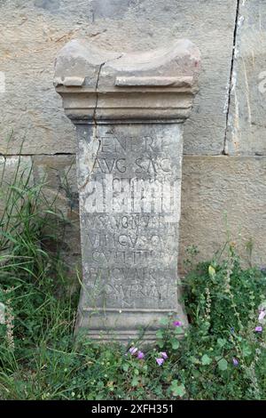 Lateinische Inschrift an den römischen Ruinen in Djemila Stockfoto