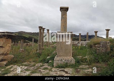 Lateinische Inschrift an den römischen Ruinen in Djemila Stockfoto