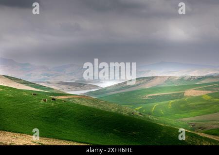 Meknes, Marokko - 20. März 2024: Sidi Chahede See in Marokko zwischen Fès und Meknes Stockfoto