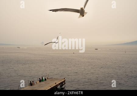 Sorrento, Italien - 29. Juni 2024: Blick auf das Meer und die Strände mit Touristen, die Selfie mit der Kamera machen und Möwenvögel herumfliegen Stockfoto