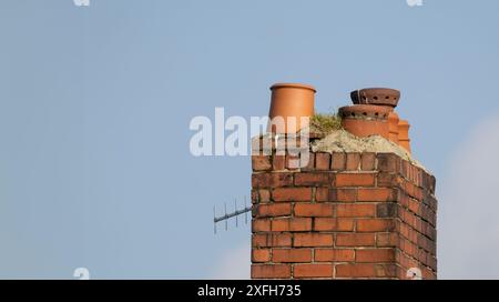 Alter verwitterter Schornsteinstapel mit keramischen Schornsteintöpfen vor klarem blauem Himmel Stockfoto