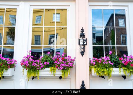 Rosa und lila Blumen in einem Blumenkasten auf einer Straße in Charleston, South Carolina, USA Stockfoto