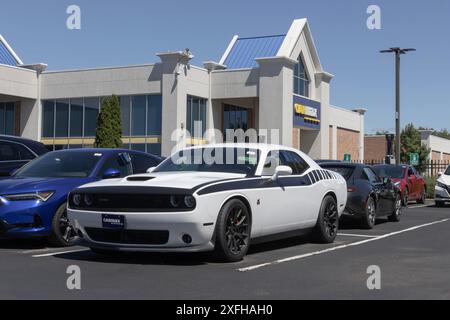 Indianapolis - 30. Juni 2024: Carmax Autohändler Dodge Challenger Display. Carmax ist der größte Gebrauchtwagenhändler in den USA. Stockfoto