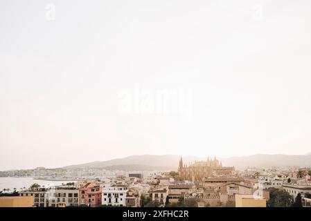 Stadtbild mit Kathedrale La Seu und Dächern in Palma de Mallorca, Mallorca, Spanien Stockfoto