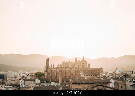 Malerischer Blick auf die Kathedrale von La Seu und die Dächer von Palma de Mallorca, Mallorca, Spanien Stockfoto