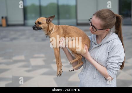 Junge kaukasische Frau, die einen kleinen Hund in der Hand hält. Stockfoto