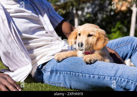 Im Freien entspannen, Person mit goldenem Retriever-Welpen auf dem Schoß sitzen Stockfoto