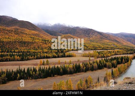 Ein Fragment eines wunderschönen Flusses, der im frühen Herbst durch ein malerisches Tal mit einem Nadelwald am Fuße hoher schneebedeckter Berge fließt Stockfoto