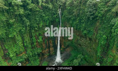 Blick aus der Vogelperspektive auf den majestätischen tropischen Wasserfall im üppigen Regenwald, Ost-Java, Indonesien Stockfoto